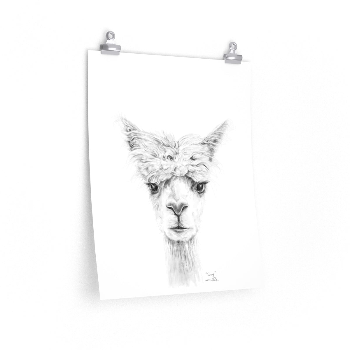 TRACY Llama- Art Paper Print