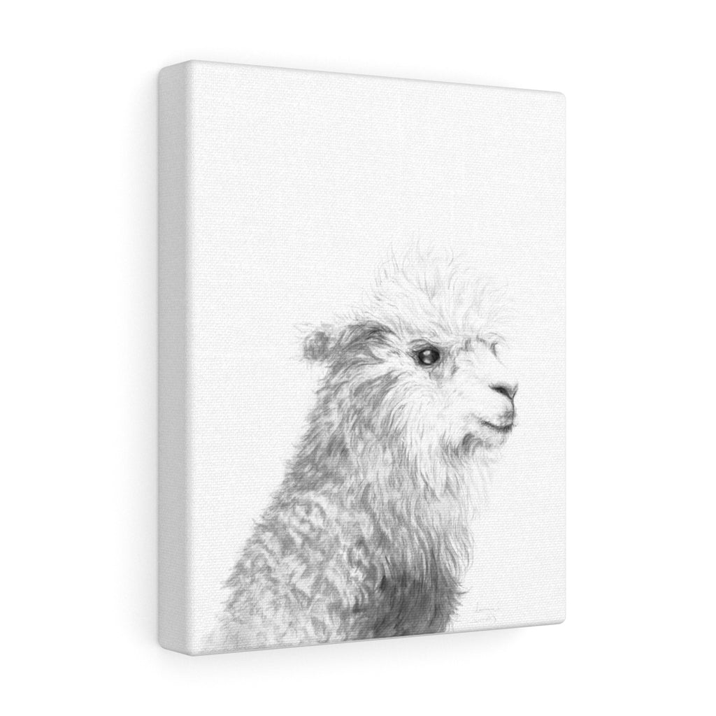 LAUREN Llama - Art Canvas