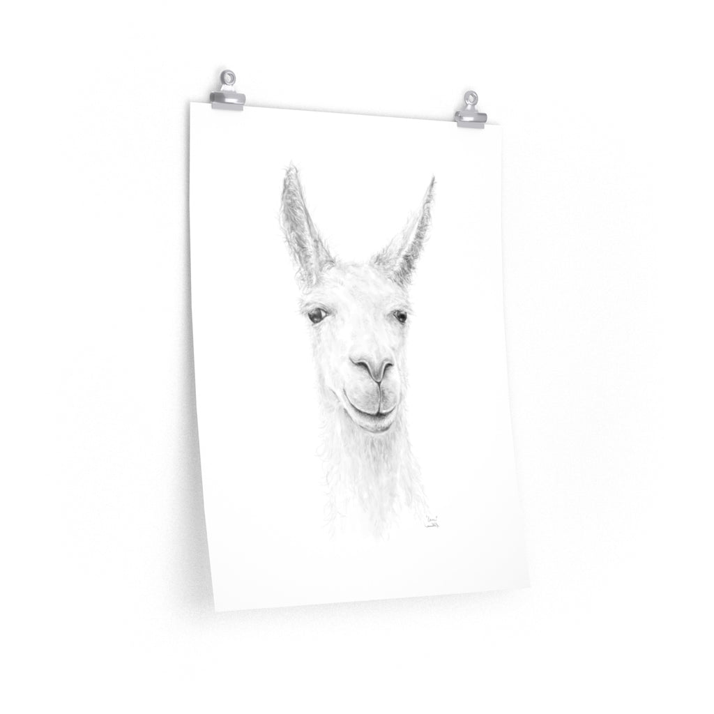 IAN Llama- Art Paper Print