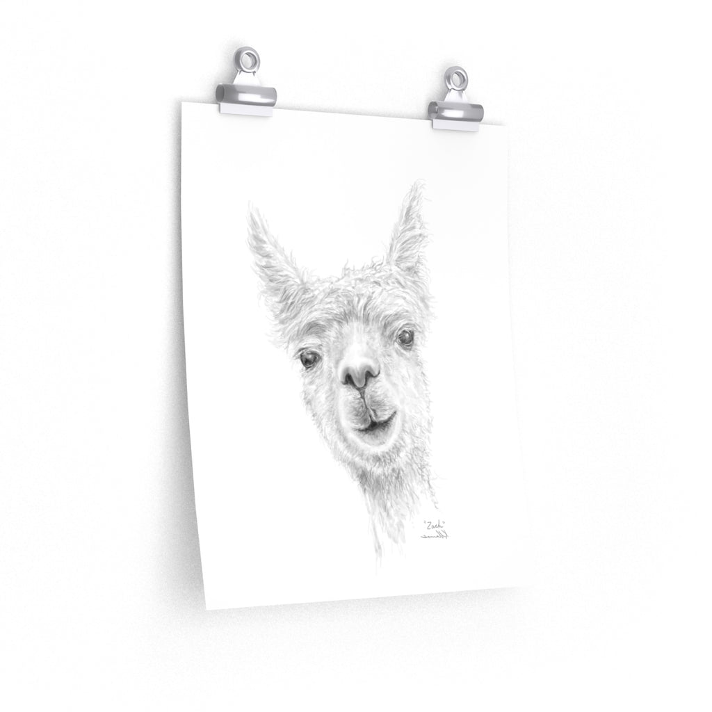 ZACH Llama- Art Paper Print
