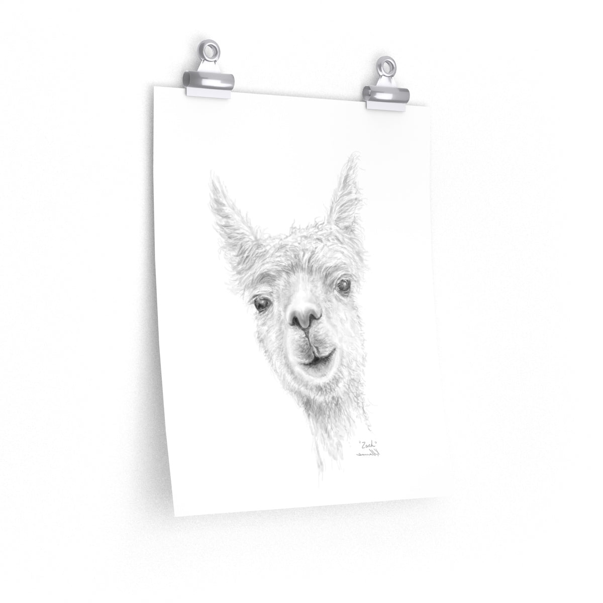 ZACH Llama- Art Paper Print