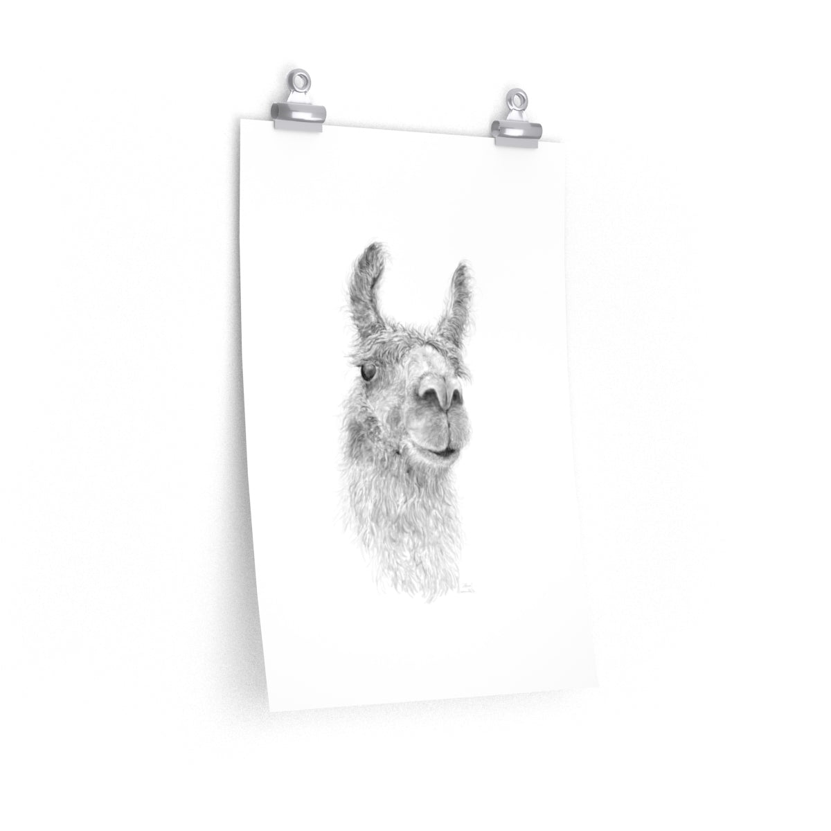 ADREA Llama- Art Paper Print