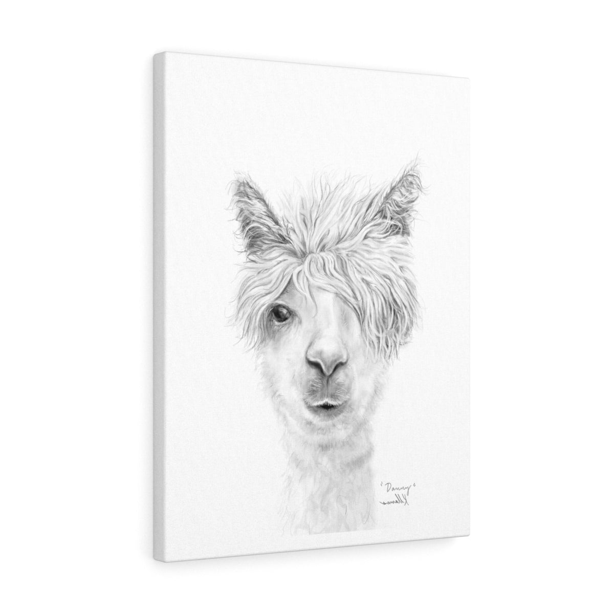 DANNY Llama - Art Canvas
