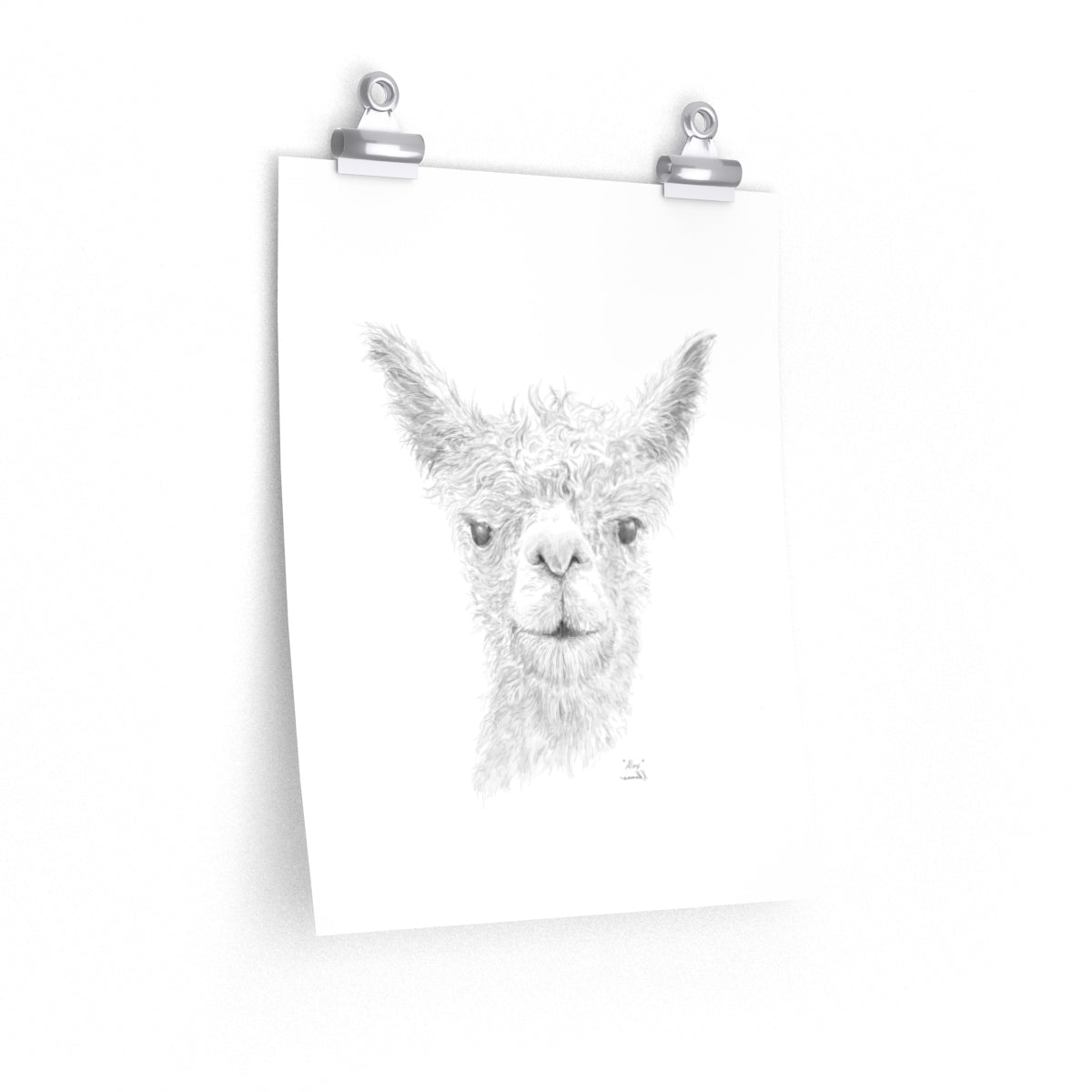 Alex Llama- Art Paper Print