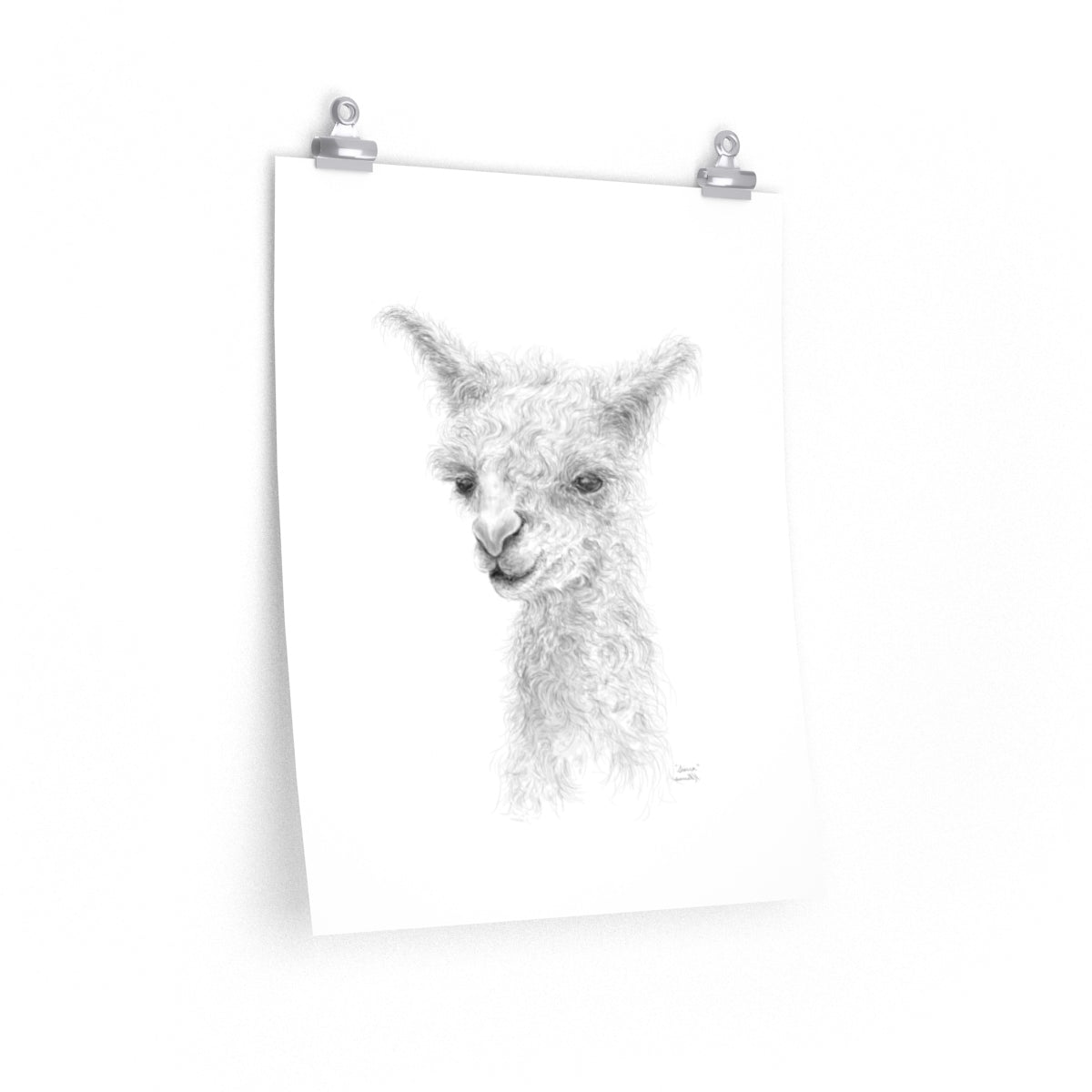 SIERRA Llama- Art Paper Print