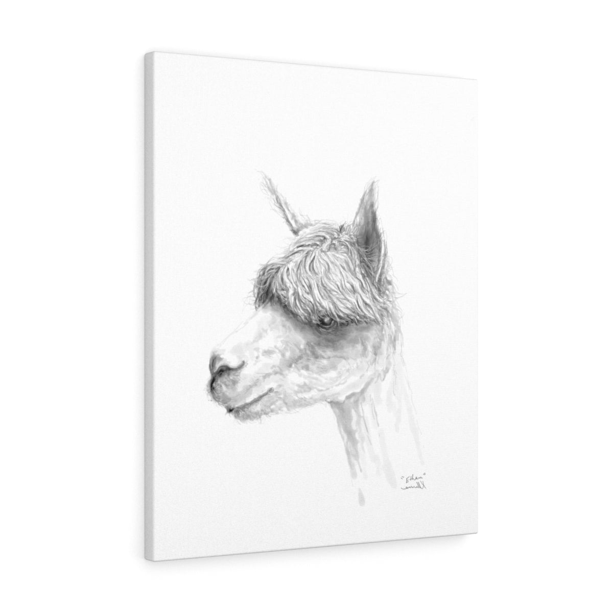 ETHAN Llama - Art Canvas