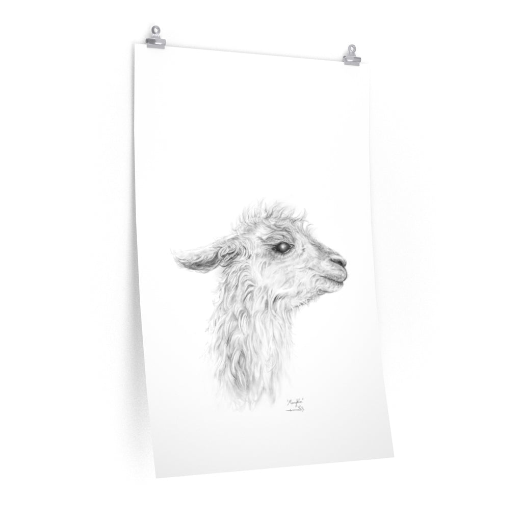 MENGKHA Llama- Art Paper Print