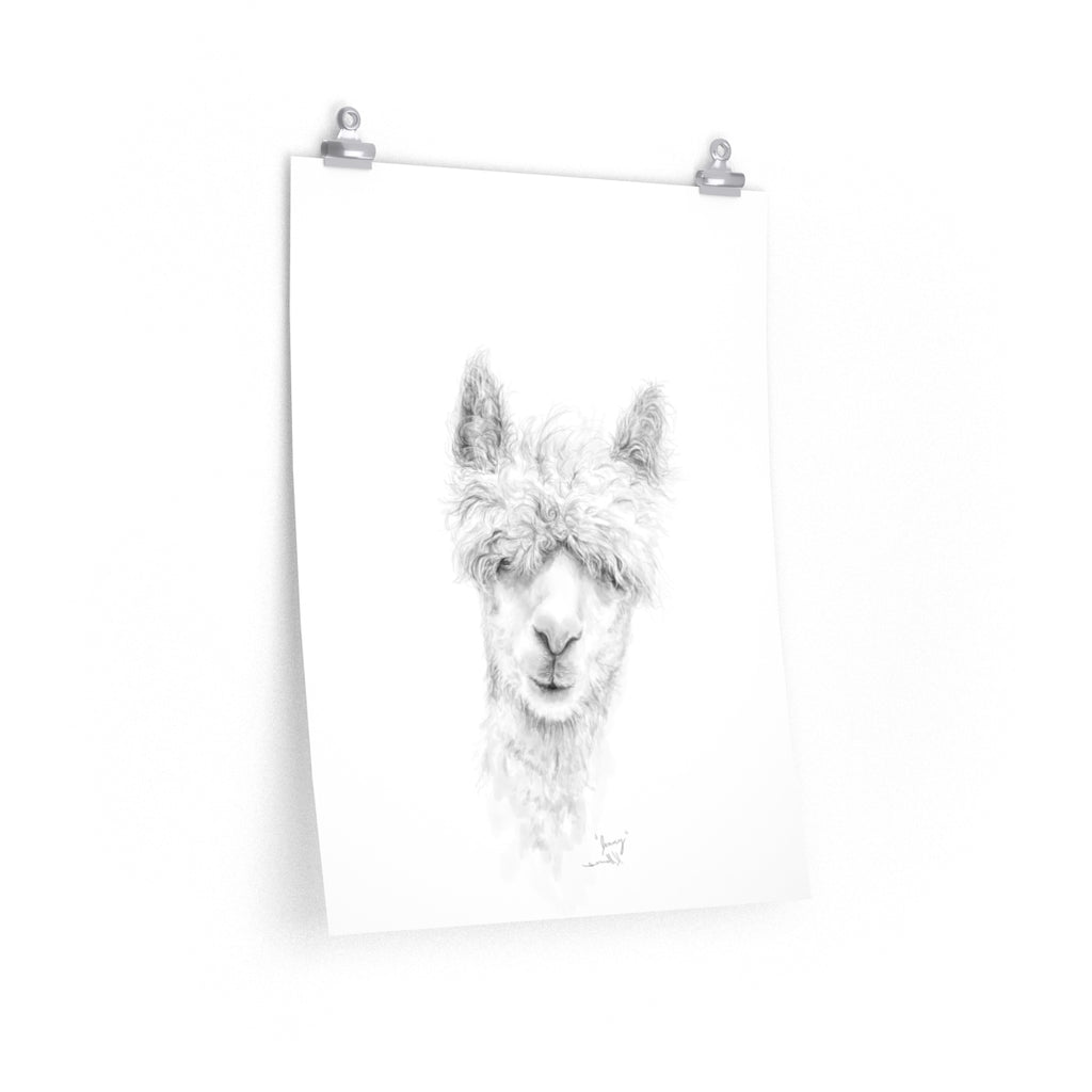 JENNY Llama- Art Paper Print