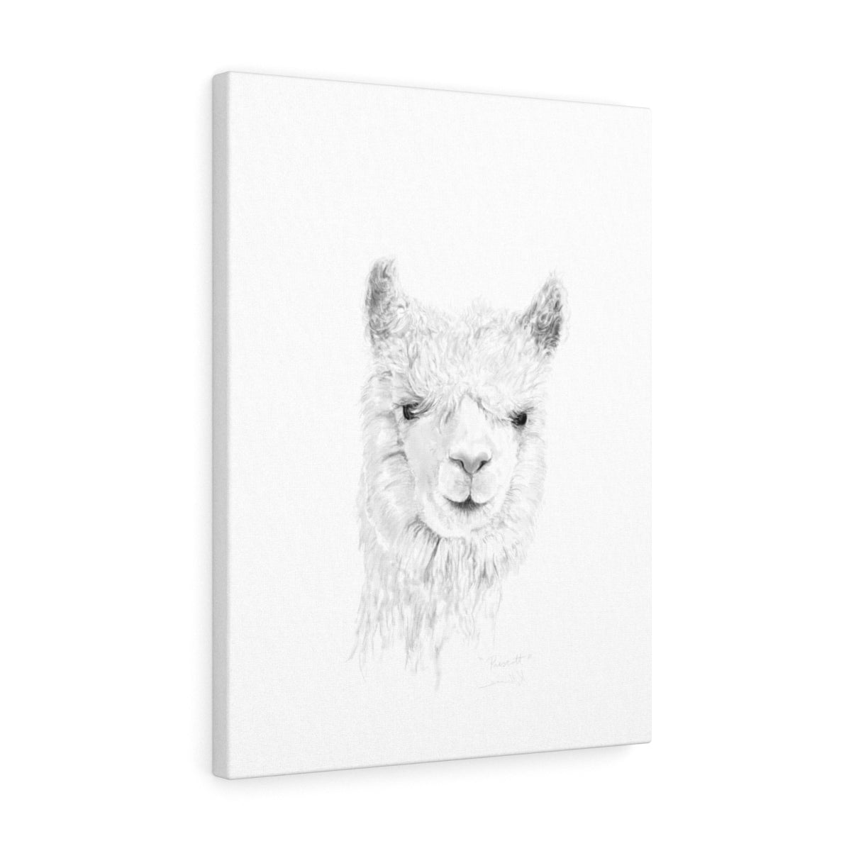 PRESCOTT Llama - Art Canvas