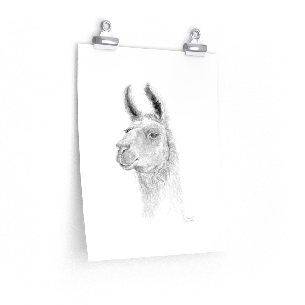 JAN CARLO Llama- Art Paper Print