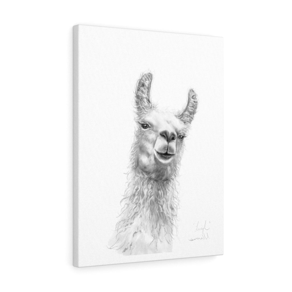 LEIGH Llama - Art Canvas