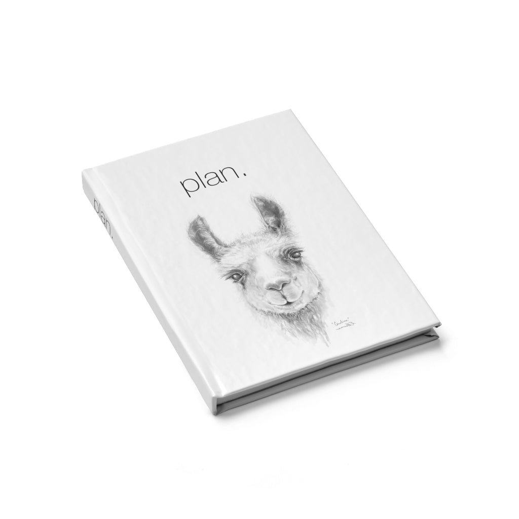 PLAN Journal: Caroline Llama