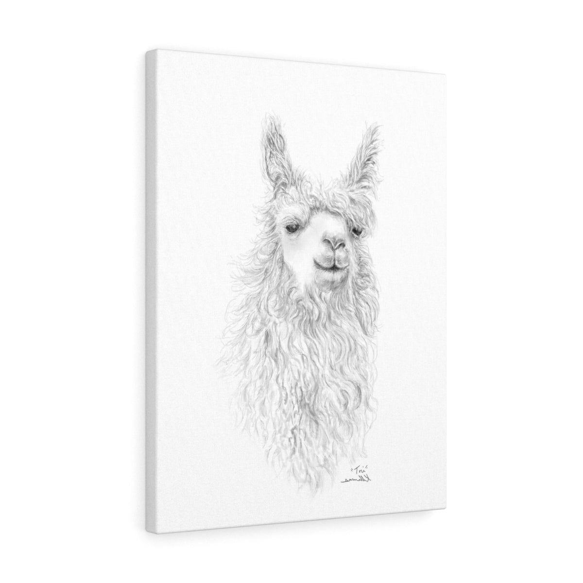 TORI Llama - Art Canvas