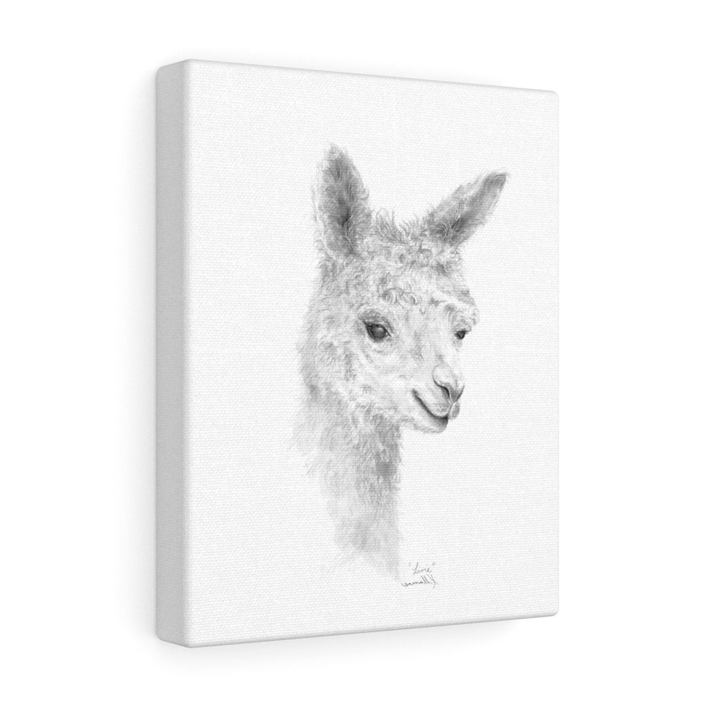 LIVIE Llama - Art Canvas