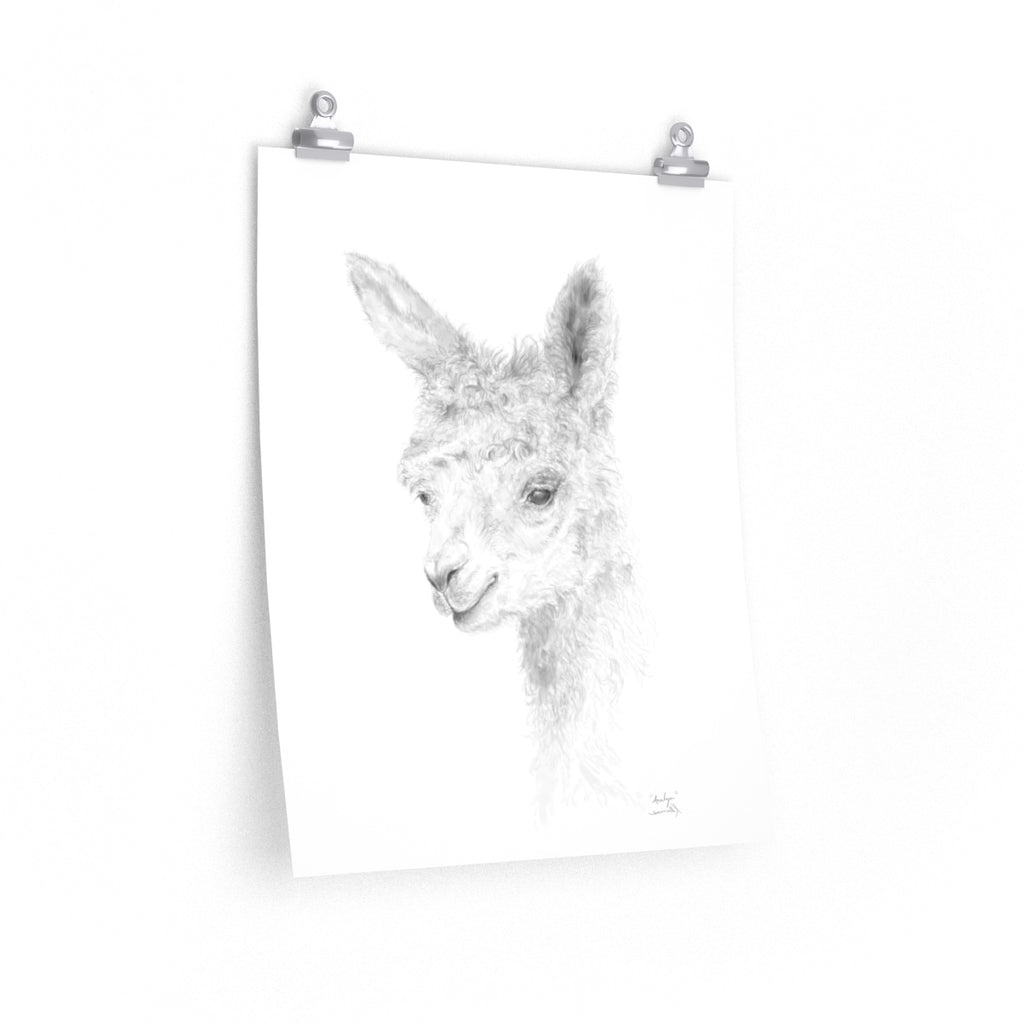 ANALYN Llama- Art Paper Print
