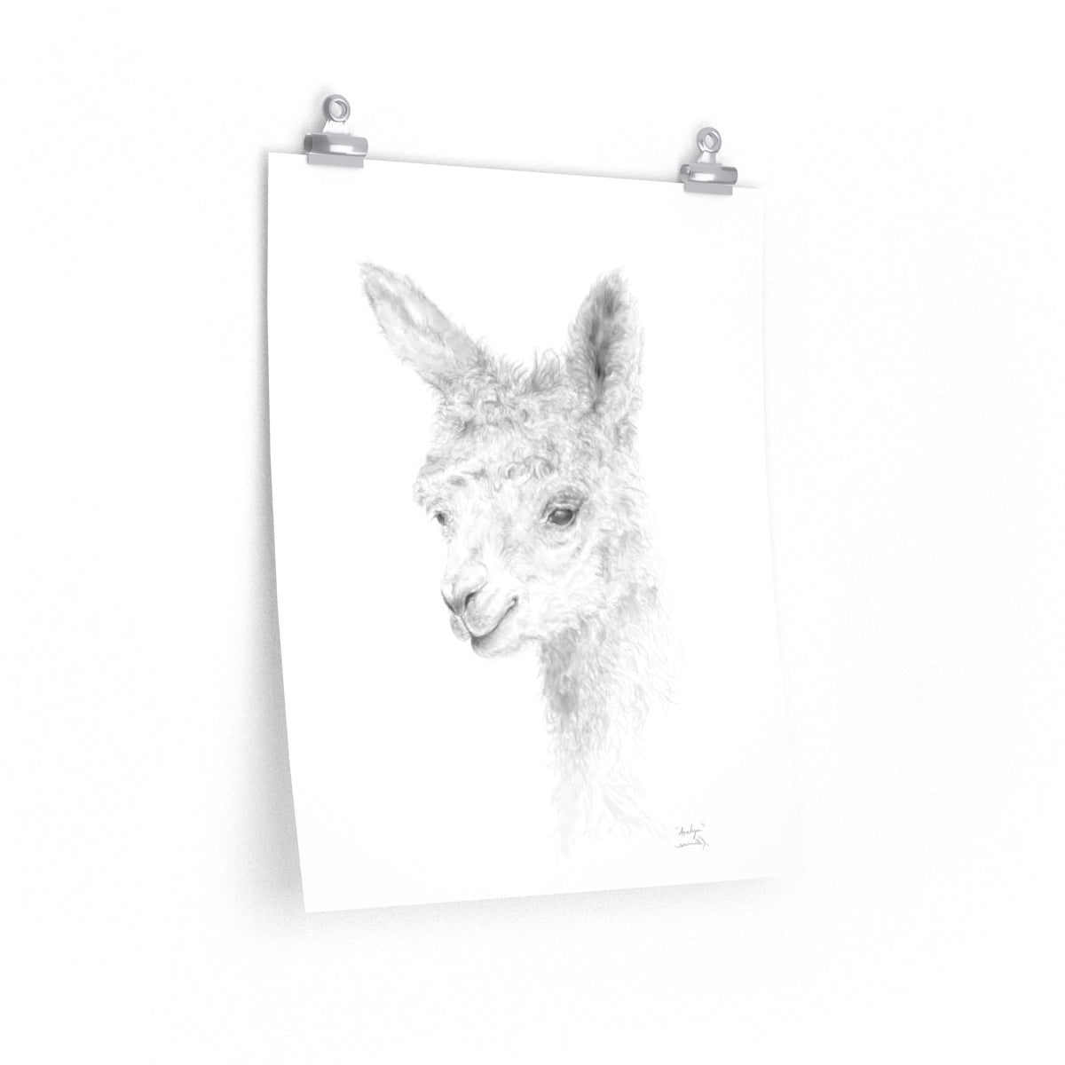 ANALYN Llama- Art Paper Print