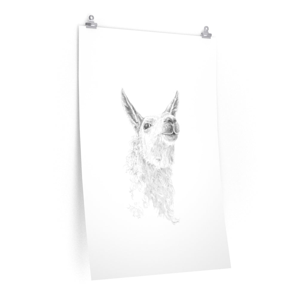 LARRY Llama- Art Paper Print