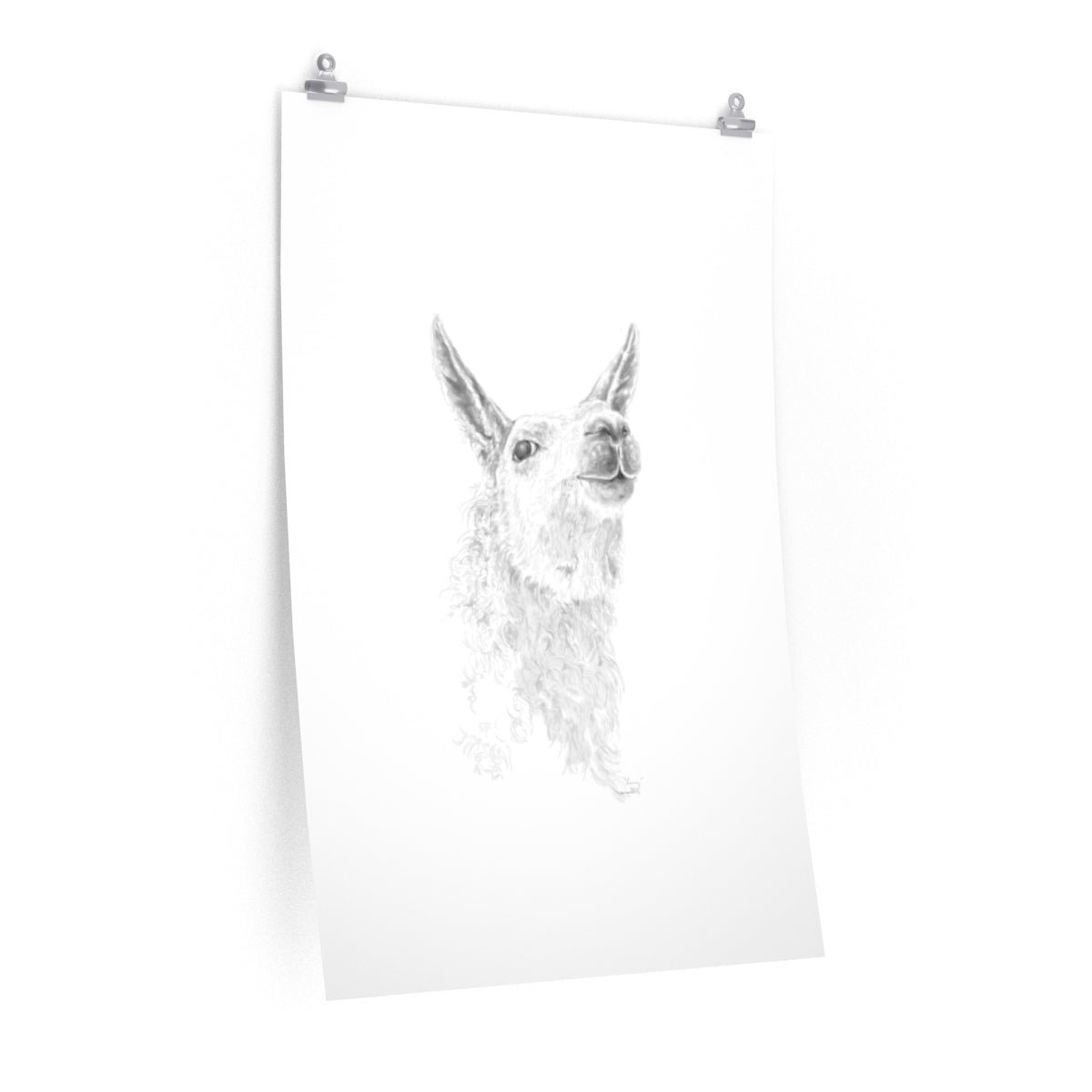 LARRY Llama- Art Paper Print
