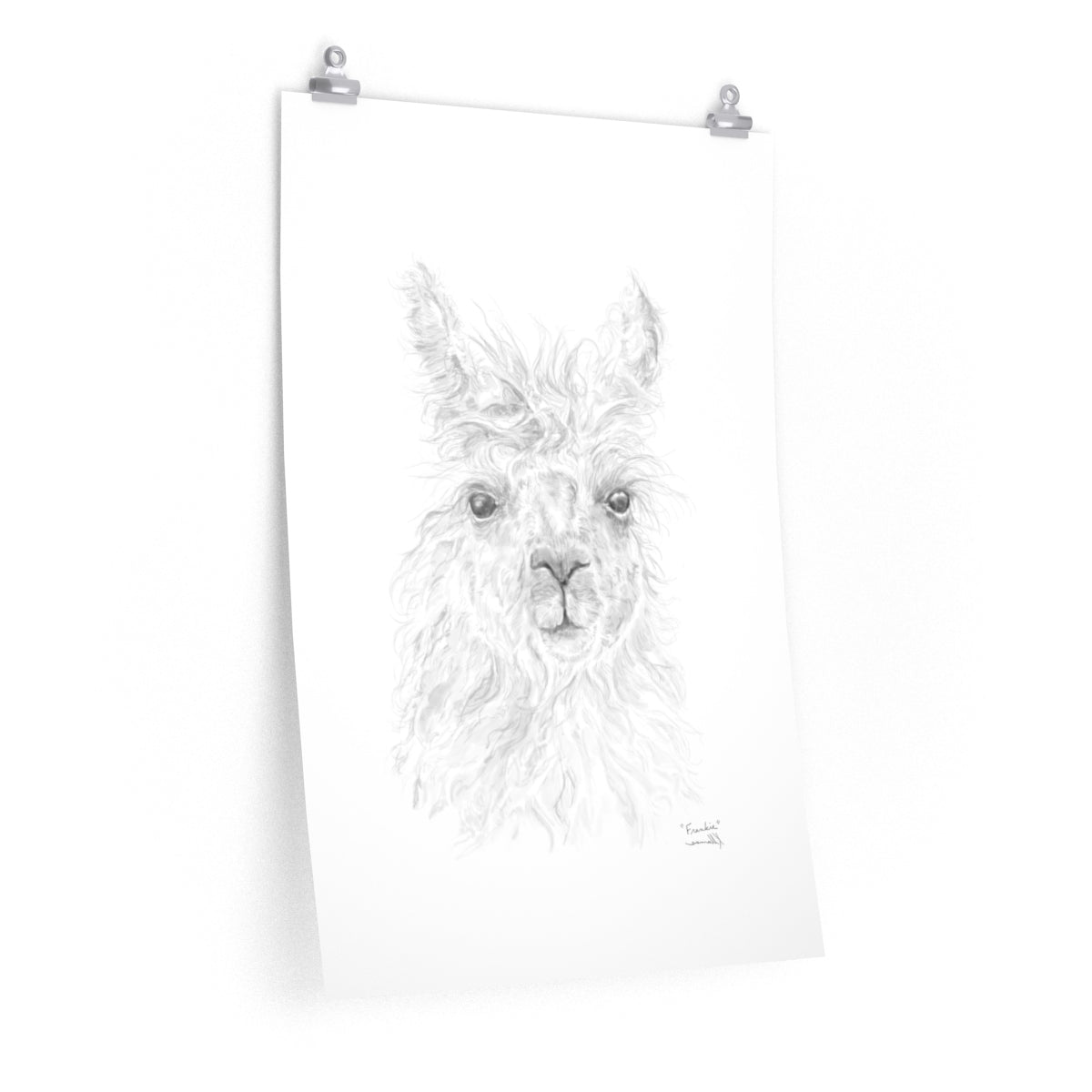 FRANKIE Llama- Art Paper Print