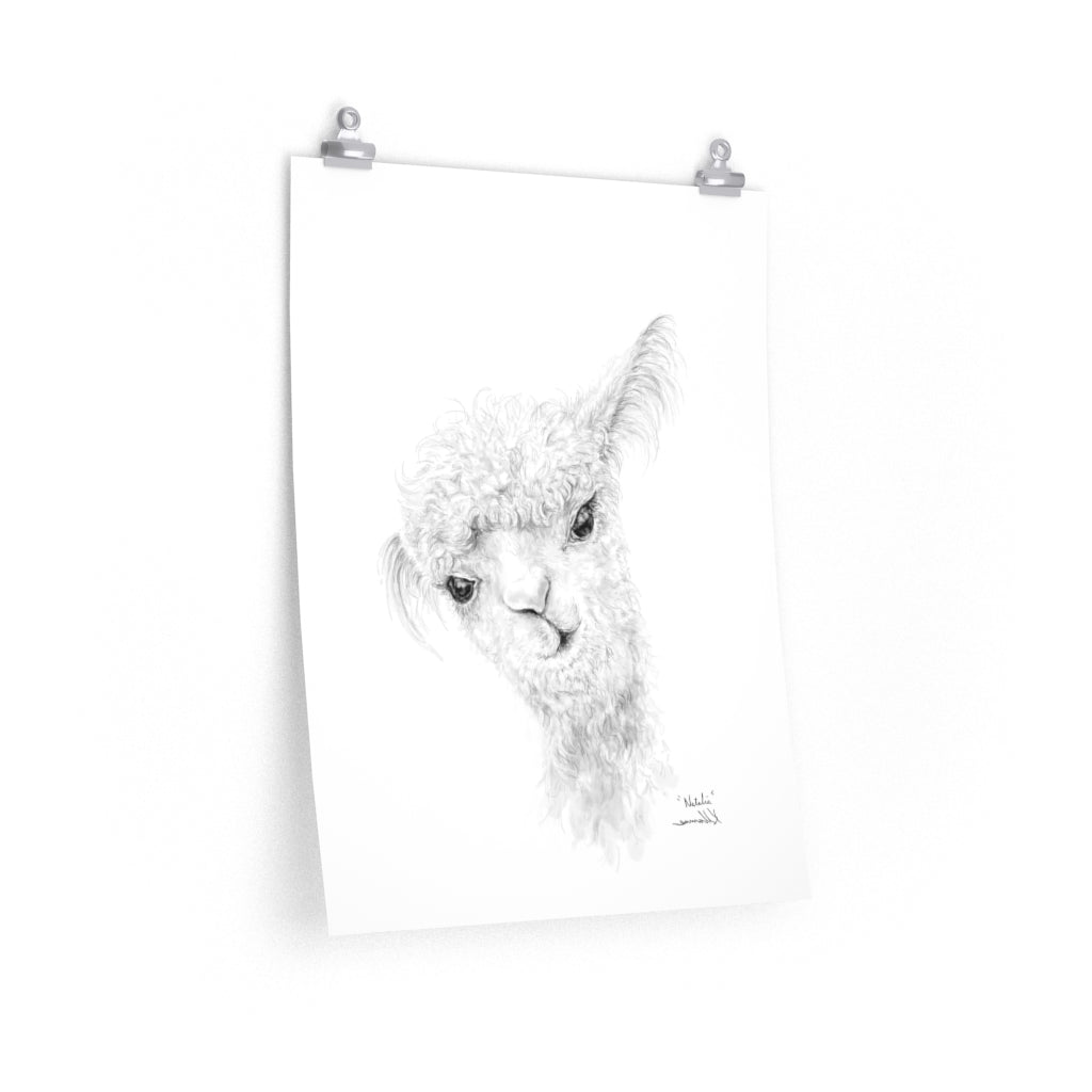 NATALIA Llama- Art Paper Print