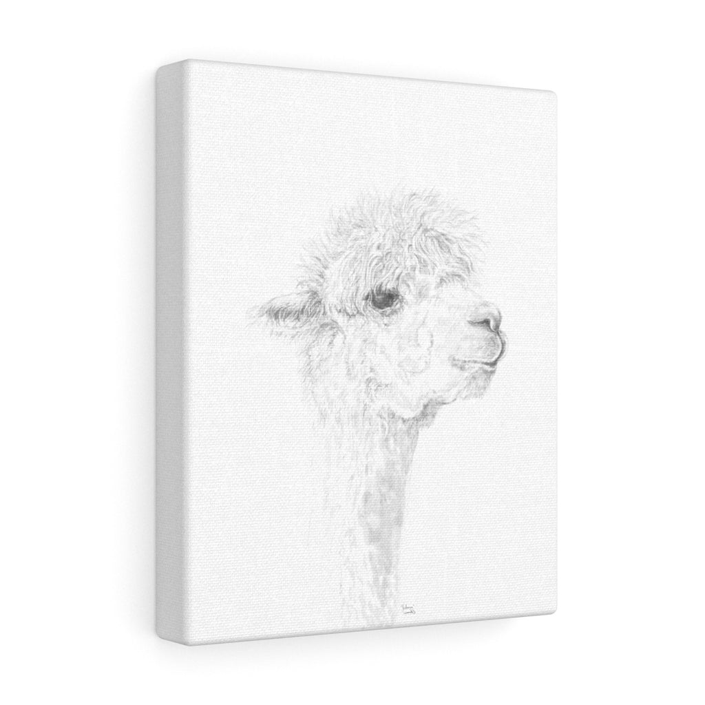 JULIANA Llama - Art Canvas