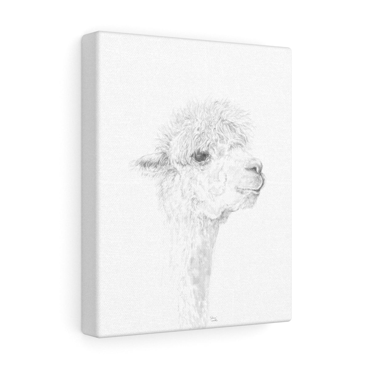 JULIANA Llama - Art Canvas
