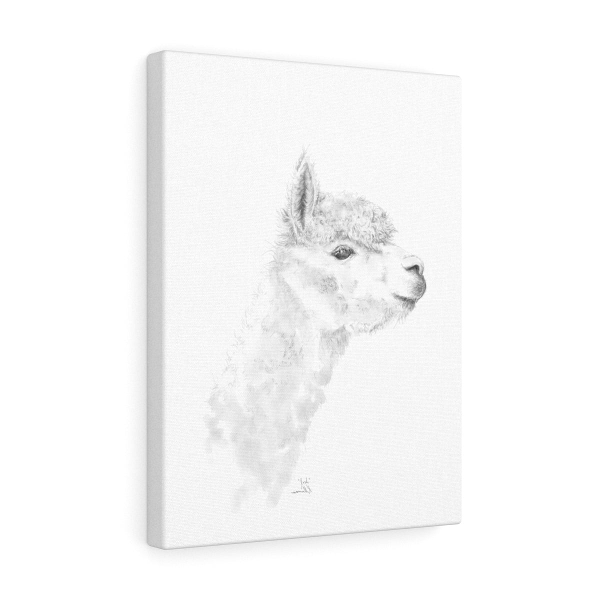JOSH Llama - Art Canvas