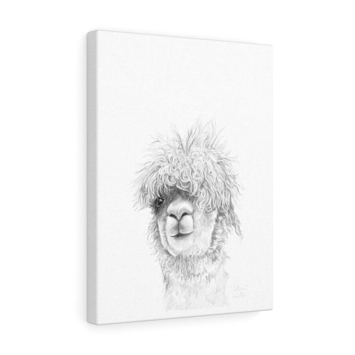COLLEEN Llama - Art Canvas