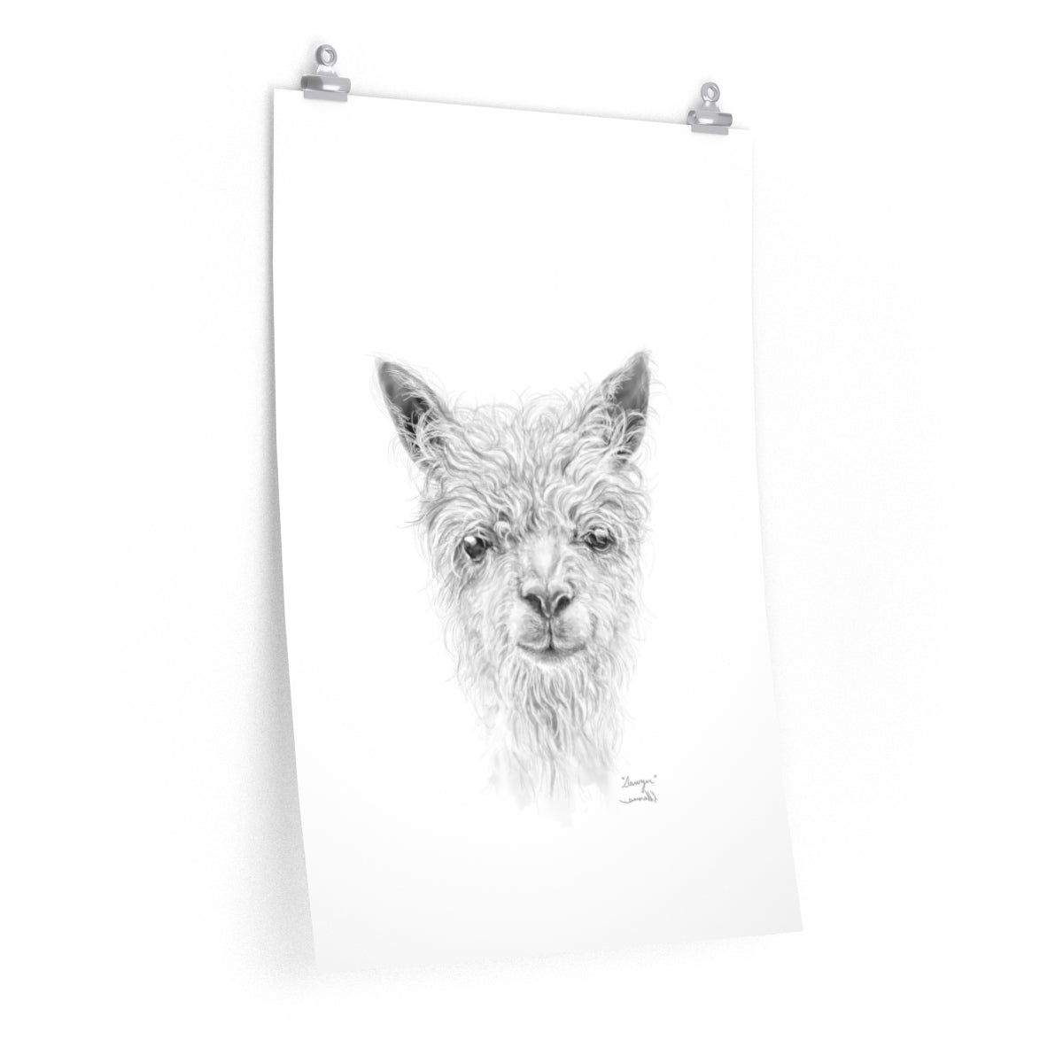 SAWYER Llama- Art Paper Print