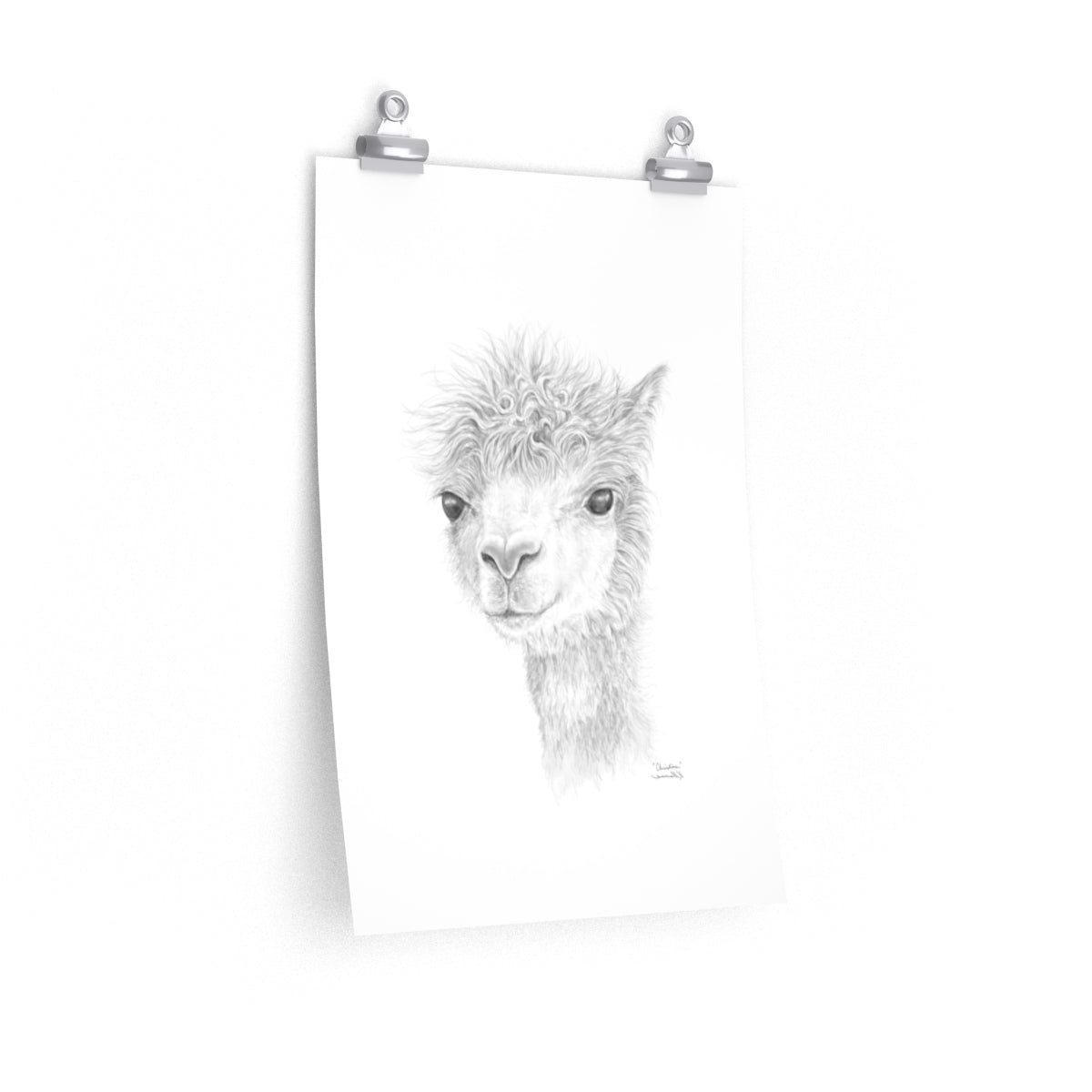 CHRISTINE Llama- Art Paper Print