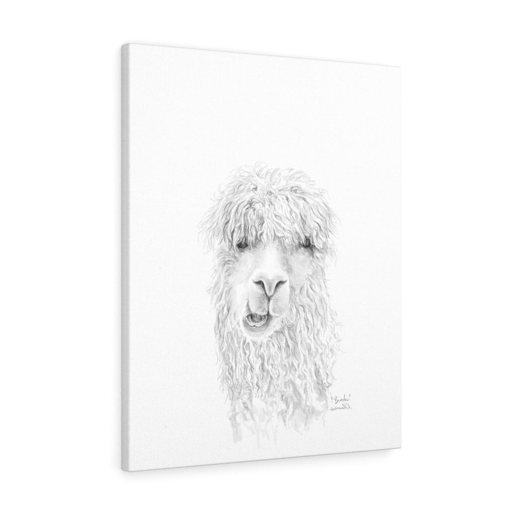 BROOKE Llama - Art Canvas