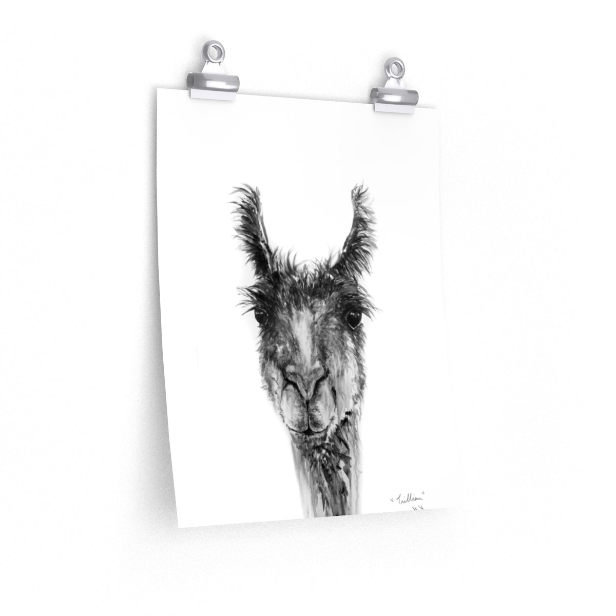 TRILLIAN Llama- Art Paper Print