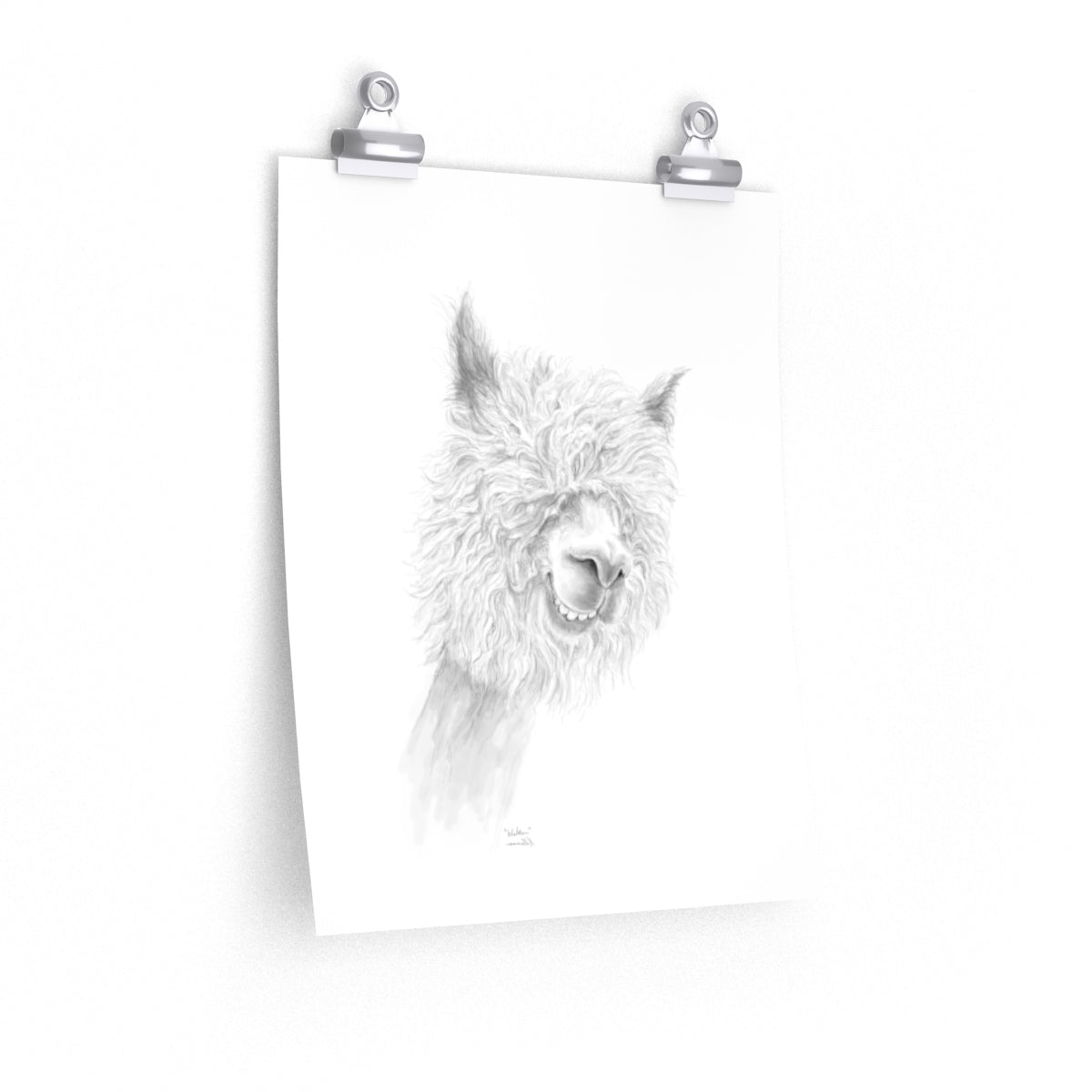 WALTER Llama- Art Paper Print
