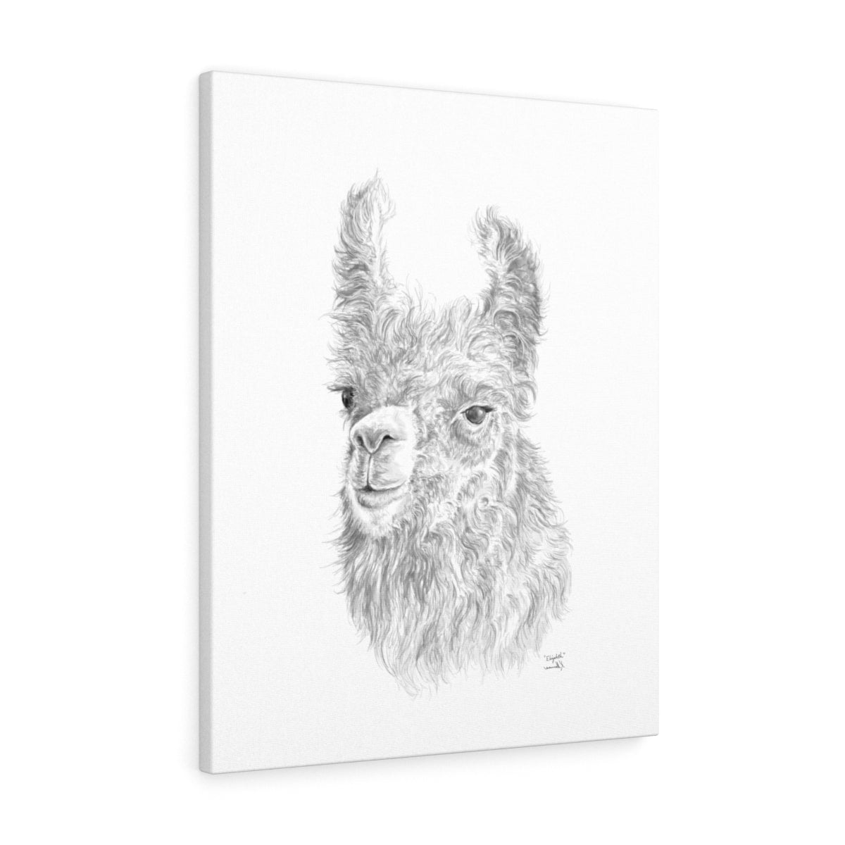 Elizabeth Llama - Art Canvas
