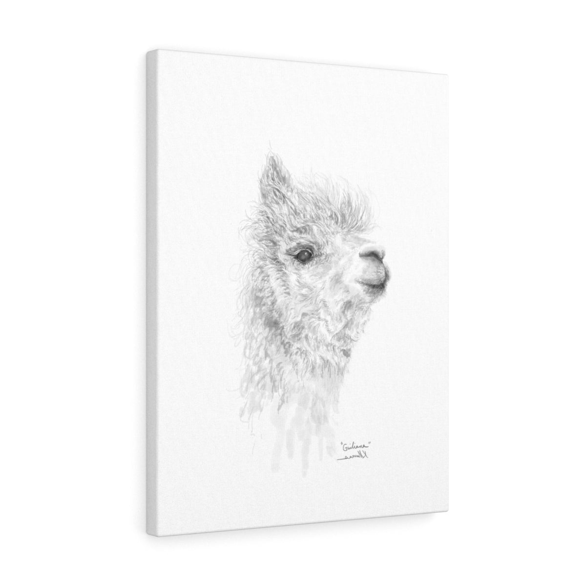 GIULIANA Llama - Art Canvas