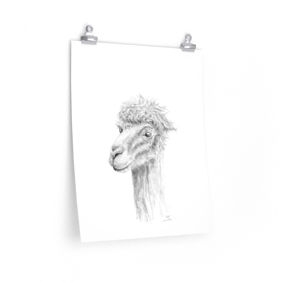 WILL Llama- Art Paper Print
