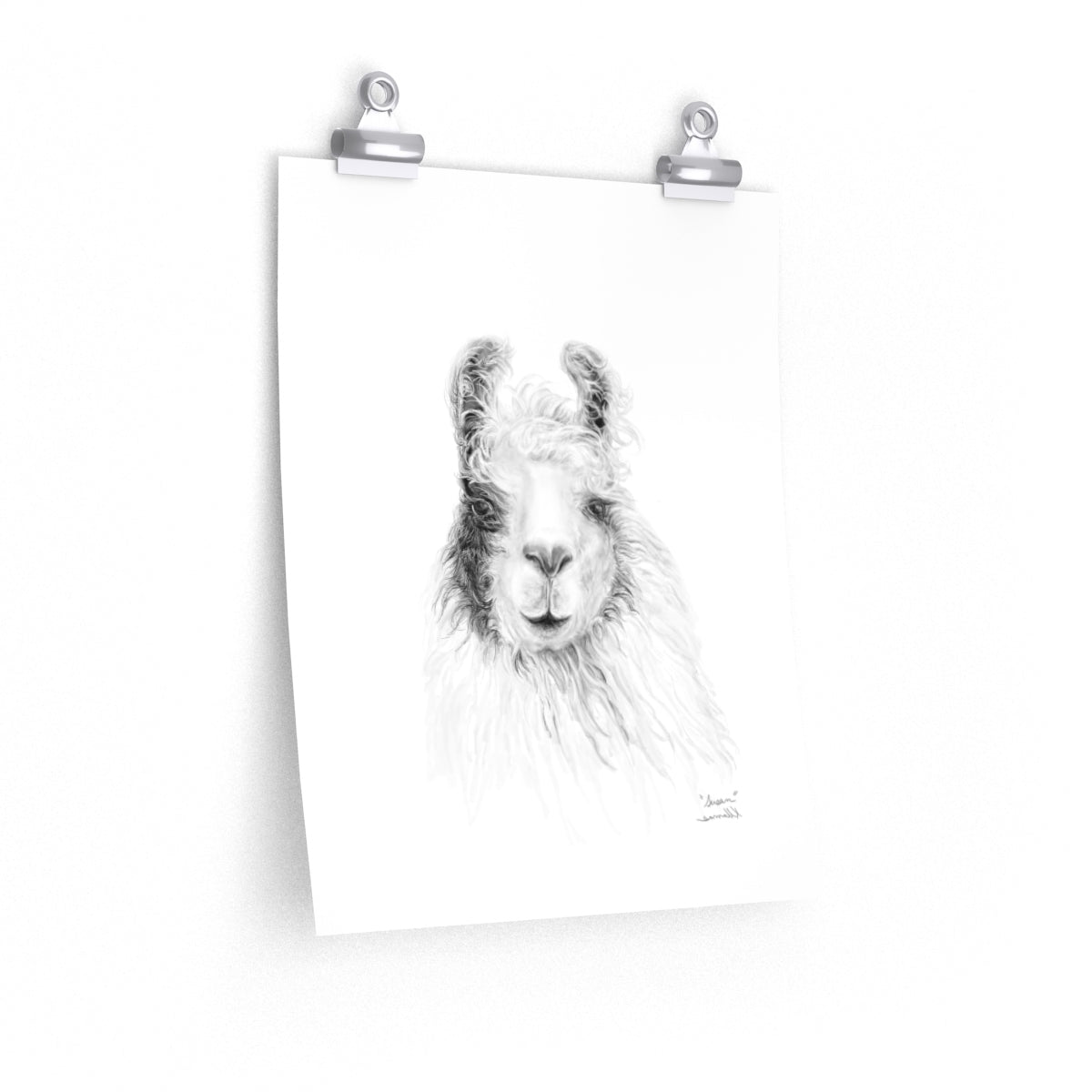 SUSAN Llama- Art Paper Print