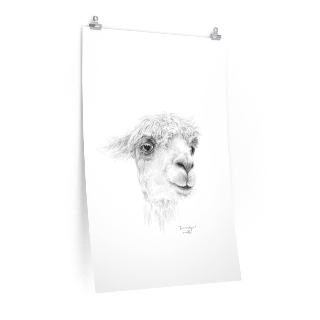 DOMINIQUE Llama- Art Paper Print