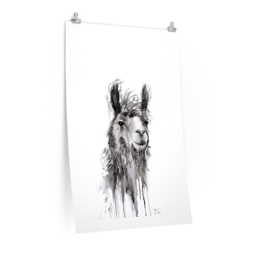 ALFONSO Llama- Art Paper Print