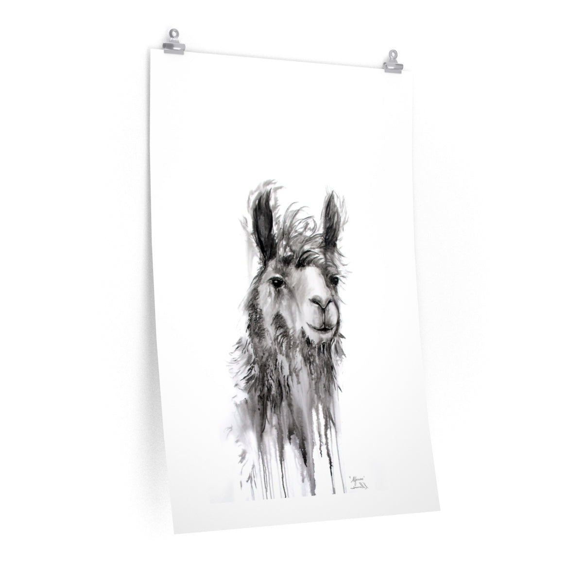 ALFONSO Llama- Art Paper Print
