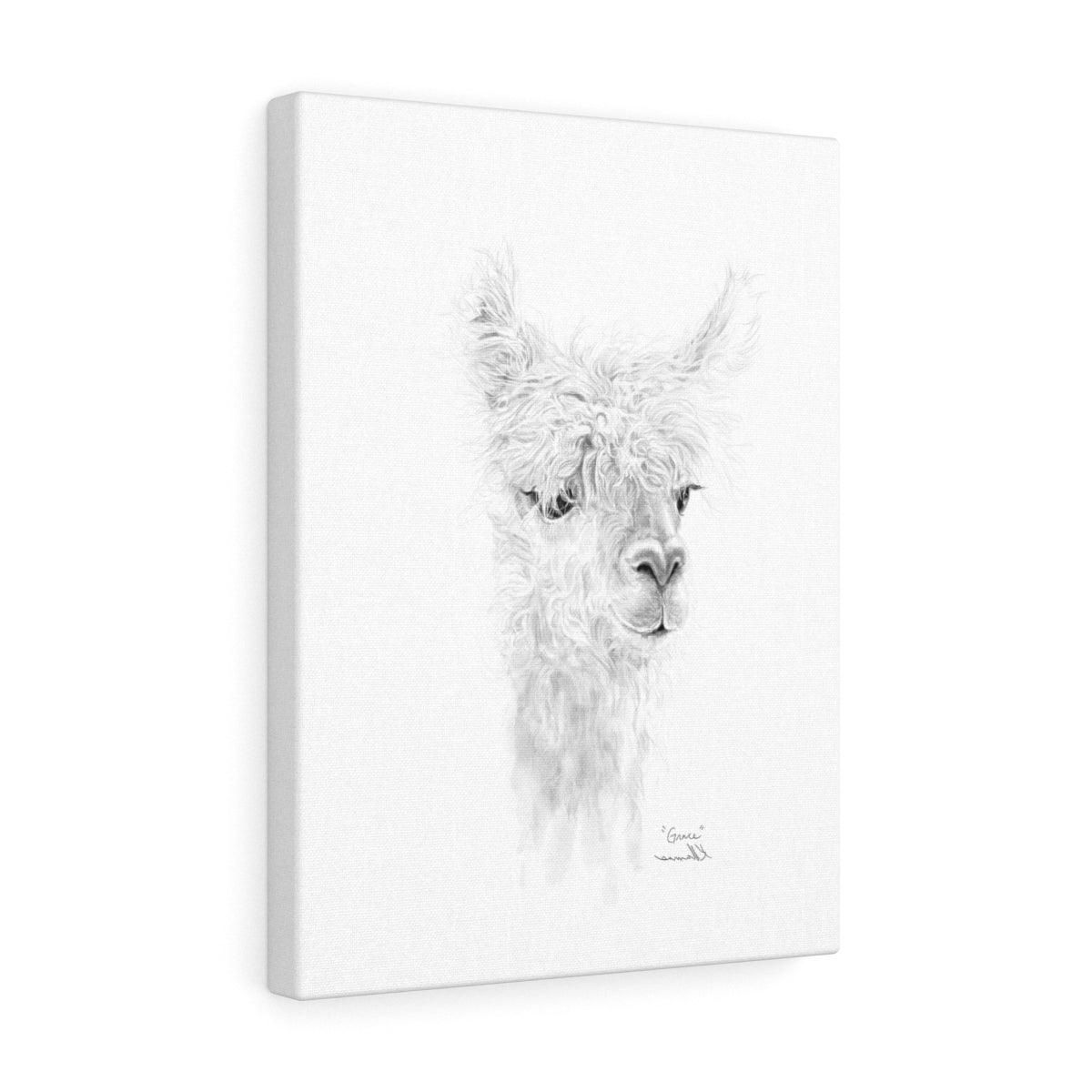 GRACE Llama - Art Canvas