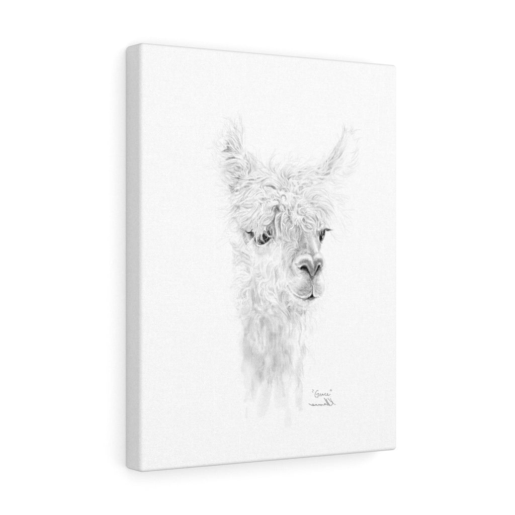 GRACE Llama - Art Canvas