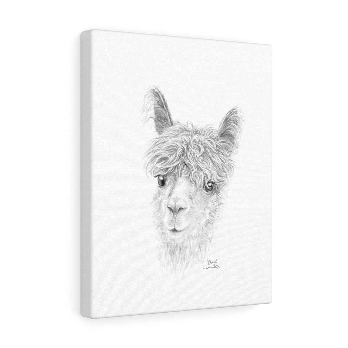 CLARA Llama - Art Canvas