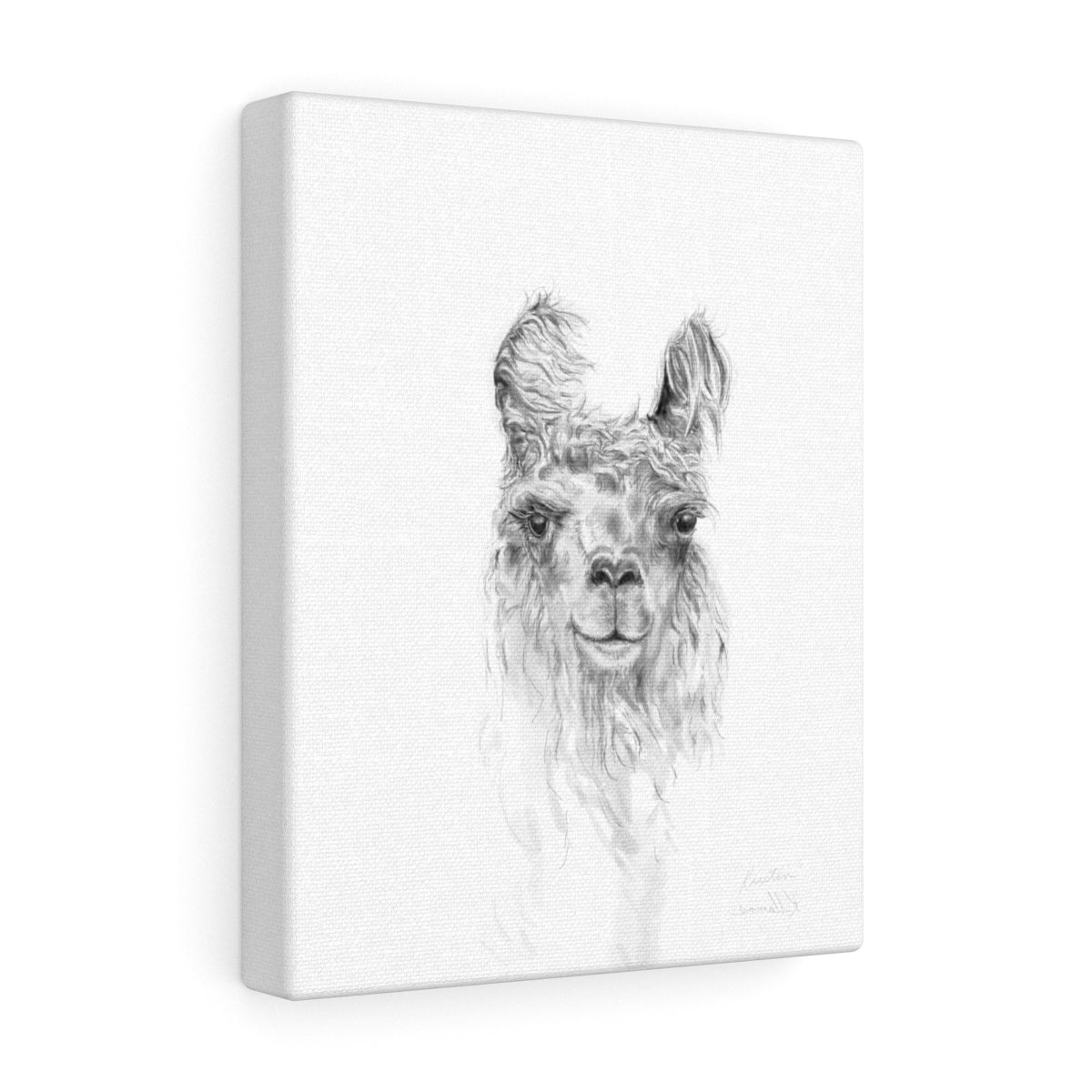 KRISTEN Llama - Art Canvas