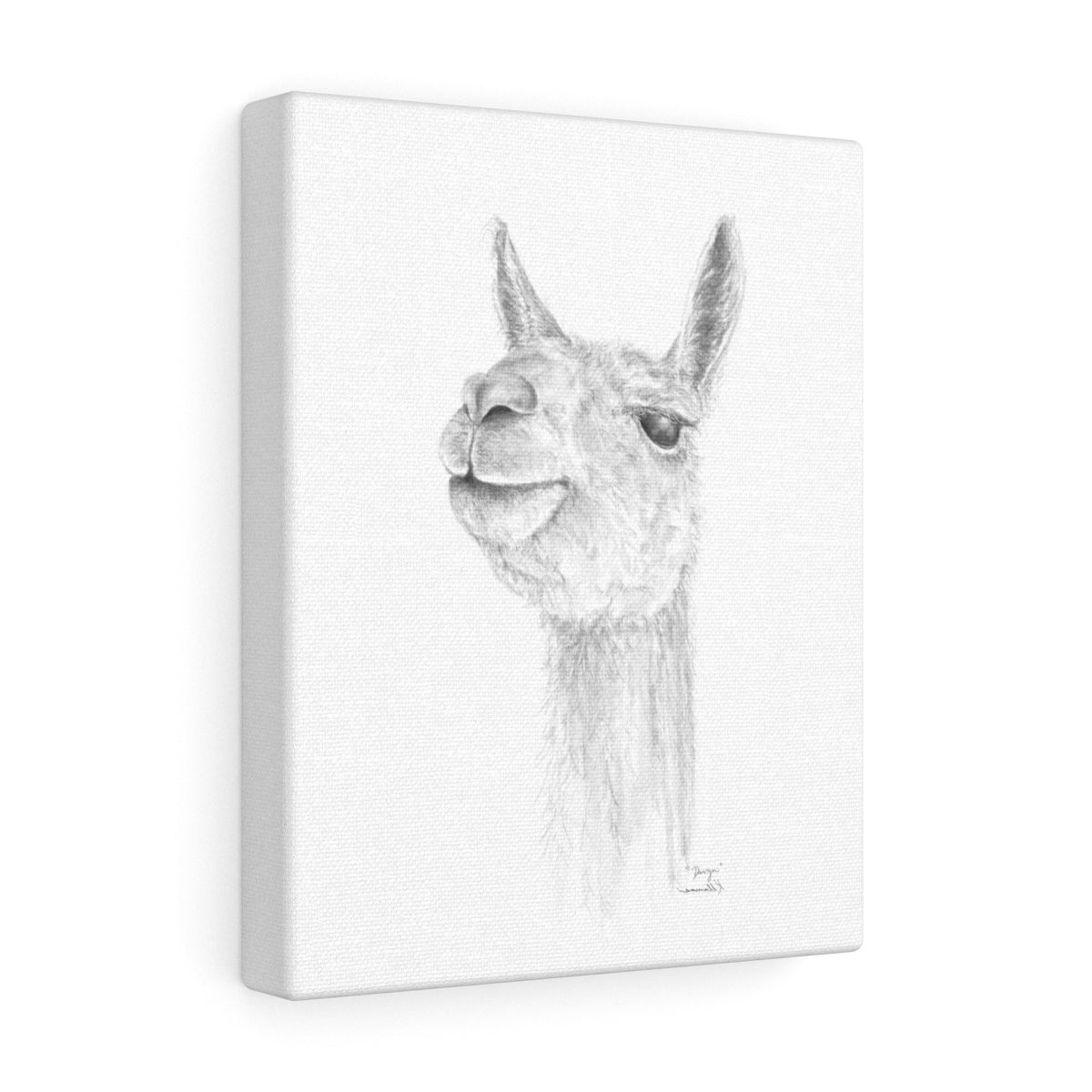 DAVYN Llama - Art Canvas