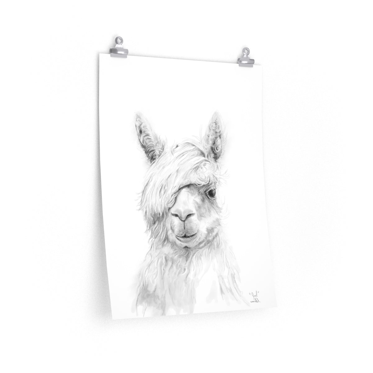 JOEL Llama- Art Paper Print