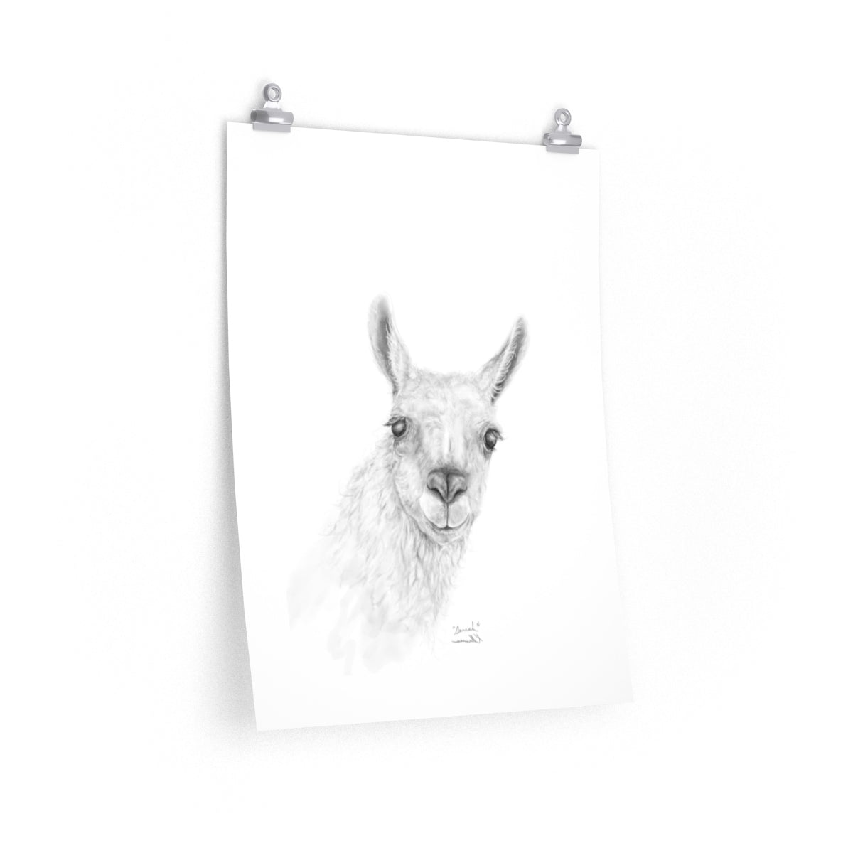 SARRAH Llama- Art Paper Print