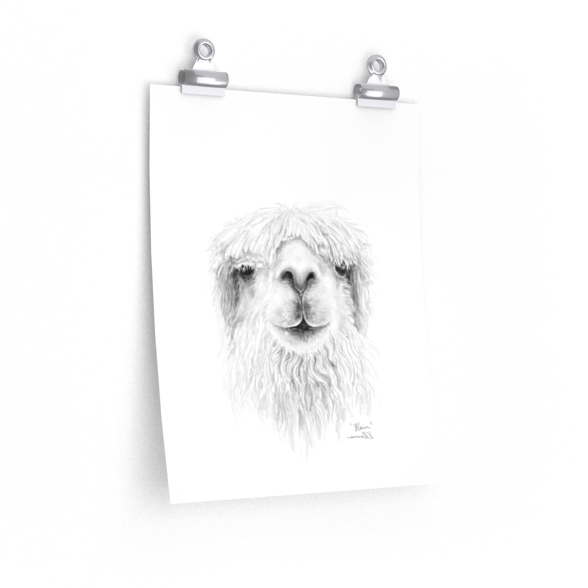 BLAIN Llama- Art Paper Print