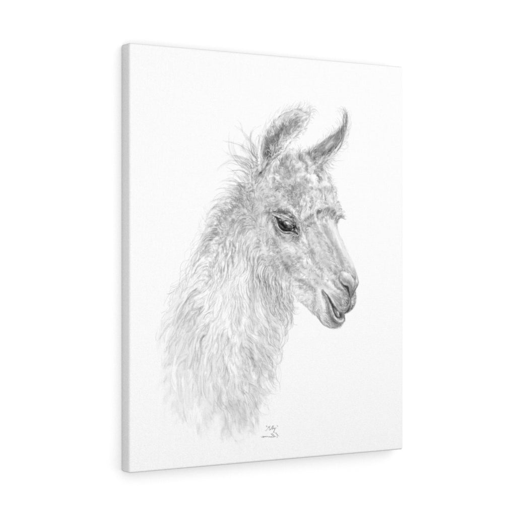 MOLLY Llama - Art Canvas