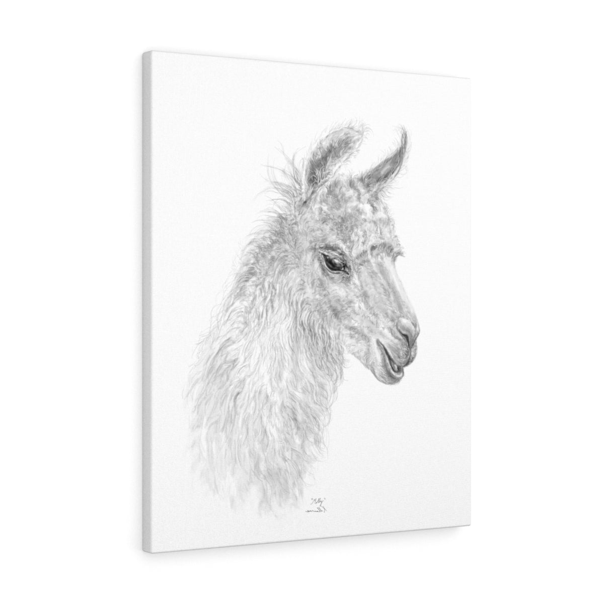 MOLLY Llama - Art Canvas